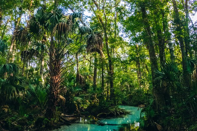 Rainbow Springs: Clear Kayak & Snorkel Eco Tour - Group Size and Guide Style: Why People Keep Mentioning Aly/Ally and Josh