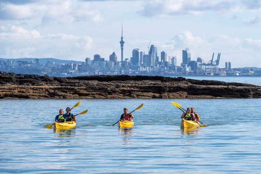 Rangitoto Island: Sea Kayak & Summit Hike Day Trip - Key highlights worth planning around