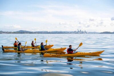 Rangitoto Island: Sea Kayak & Summit Hike Day Trip - Getting to the tour: St Heliers Beach vs. the museum pickup