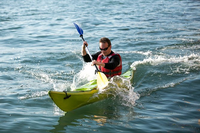 Real Venetian Kayak - Tour of Venice Canals with a Local Guide - What You’ll Actually See: Canals, the Water Traffic Flow, and Quiet Corners