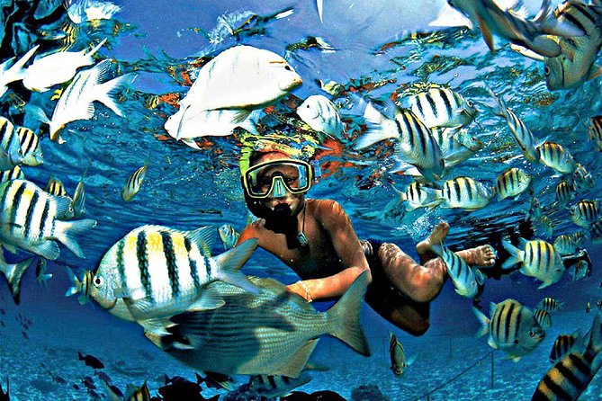 Reef Snorkel & Ocean Paddle Adventure in Fort Lauderdale Beach - Getting on the water: board prep, gear, and the real briefing