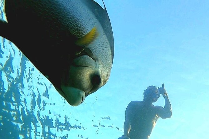 Reef Snorkel & Ocean Paddle Adventure in Fort Lauderdale Beach - Price and value: what $115 covers and what to plan for