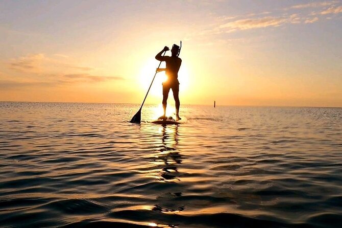 Reef Snorkel & Ocean Paddle Adventure in Fort Lauderdale Beach - Should you book Reef Snorkel & Ocean Paddle Adventure in Fort Lauderdale?