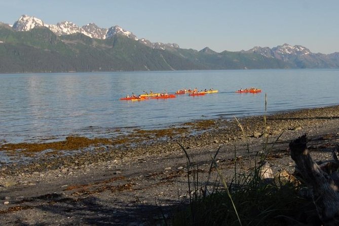 Resurrection Bay Kayaking Adventure - Key things I’d zero in on
