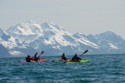Resurrection Bay Kayaking Adventure - Small-group setup with two-person kayaks (and why it helps)