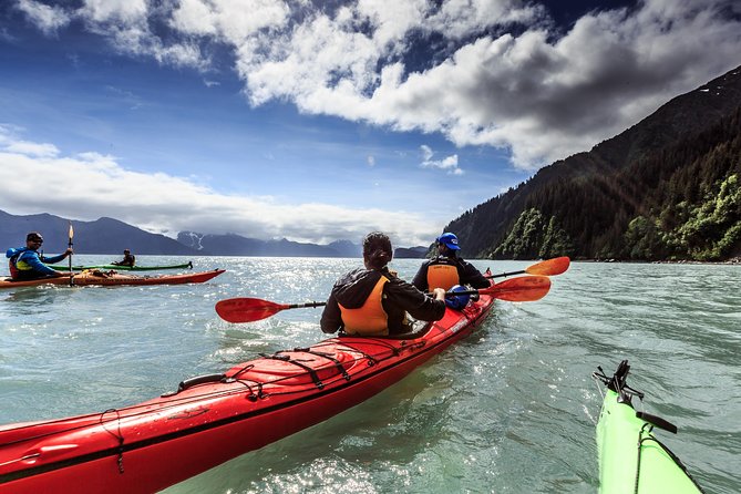 Resurrection Bay Kayaking Adventure - Price and value: is $158 worth it?