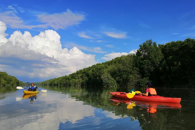 River Exploration and Mangrove Nature Tour by kayaking - Key things to know before you go