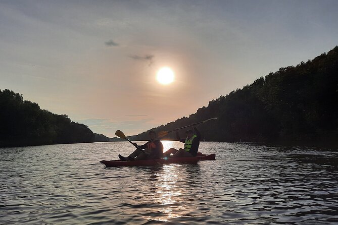 River Exploration and Mangrove Nature Tour by kayaking - Sepang River mangroves: why this kayak route feels like a getaway