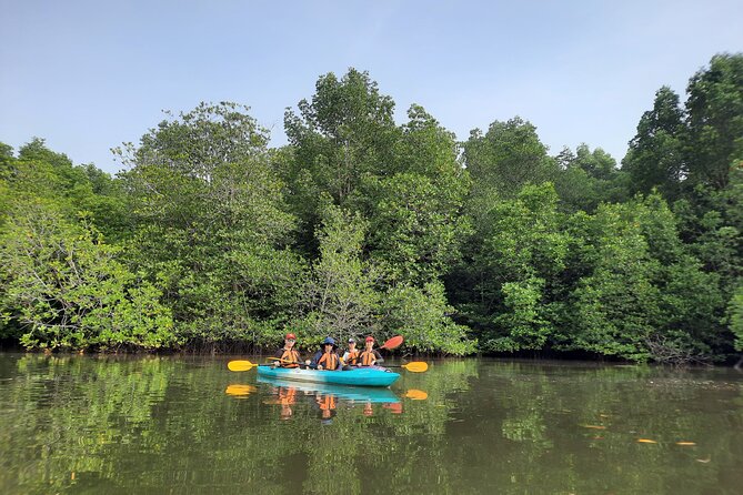 River Exploration and Mangrove Nature Tour by kayaking - Jeti Kampung Tanjung Mas Batu 2 and the floating-house walk-in