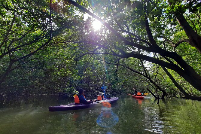 River Exploration and Mangrove Nature Tour by kayaking - On-water setup: what you’re handed and how the guide shapes the trip