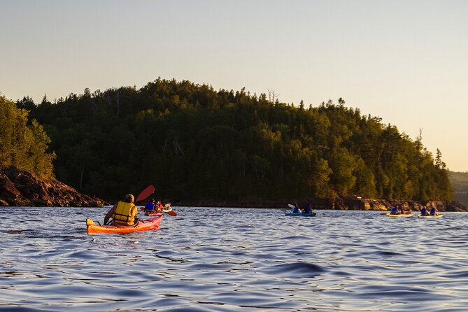 River Relics Kayaking Adventure - Wildlife spotting that actually works (and how not to miss it)