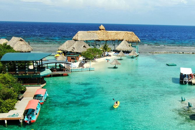 Roatan Shore Excursion: Kayak Harbor Adventure and Reef Snorkel - Roatán’s French Harbour by Kayak: the first part of the day