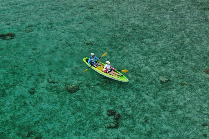 Roatan Shore Excursion: Kayak Harbor Adventure and Reef Snorkel - Mangroves feel easy, but don’t ignore the physical side