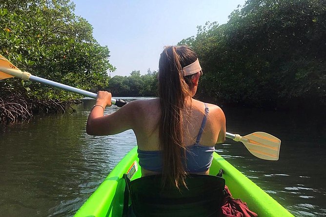 Roatan Shore Excursion: Kayak Harbor Adventure and Reef Snorkel - Snorkeling over the Mesoamerican Barrier Reef: what you’re really paying for