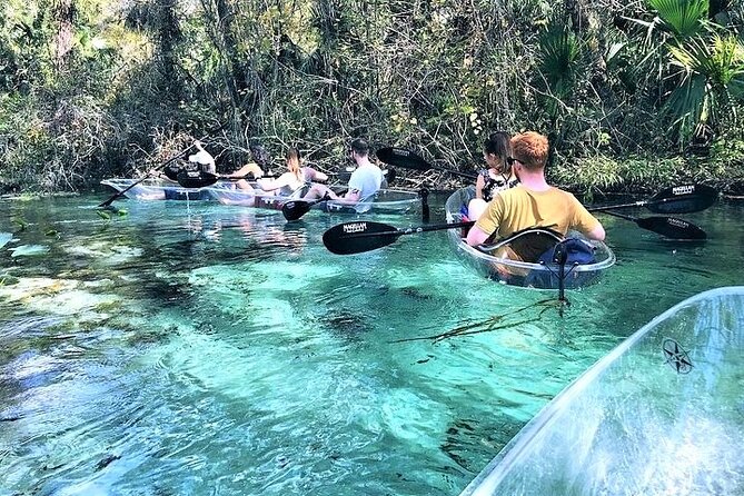 Rock Springs 2-Hour Glass Bottom Guided Kayak Eco Tour - The 2 to 2.5 hour paddle: upstream calm, tree canopy, and those stop-and-look moments