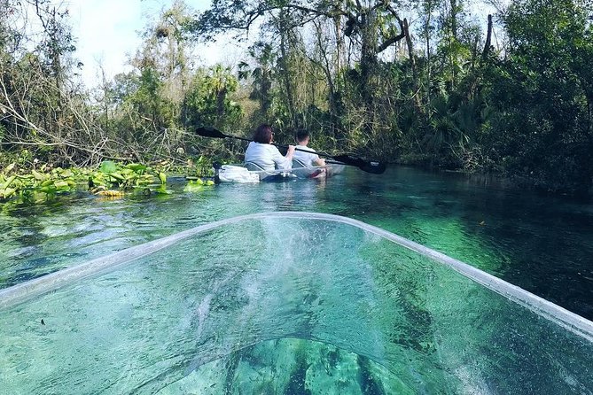 Rock Springs 2-Hour Glass Bottom Guided Kayak Eco Tour - Wildlife sightings: what you might see in Emerald Cut and why it varies