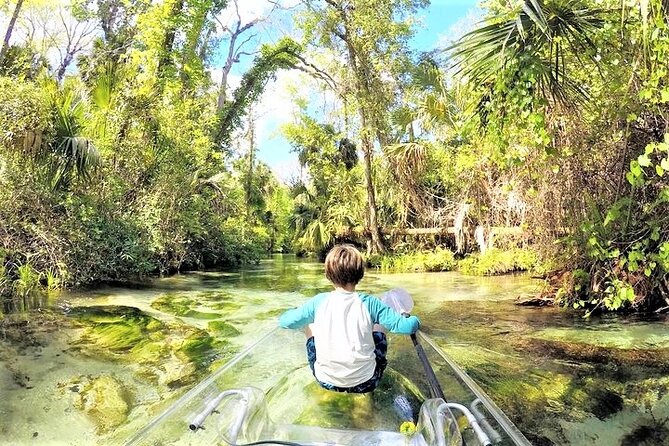 Rock Springs 2-Hour Glass Bottom Guided Kayak Eco Tour - Price and value: is $115 fair for 2.5 hours of clear-kayak magic?