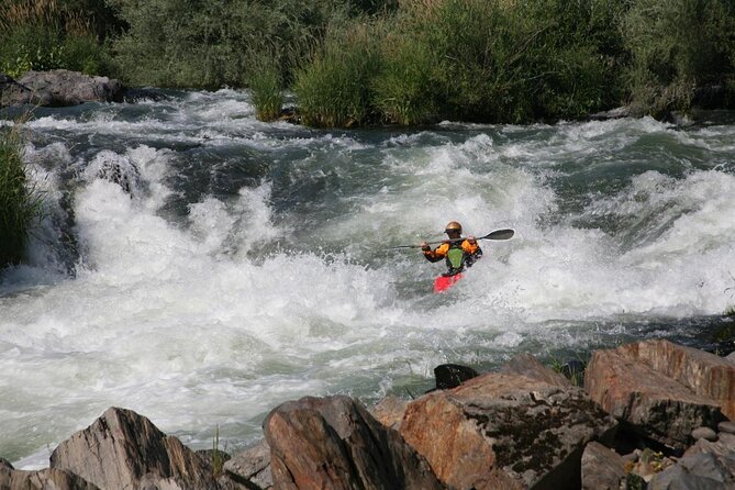Rogue River Family Float & Discovery Park-Rafting and Kayaking - Key Things You’ll Notice on This Trip