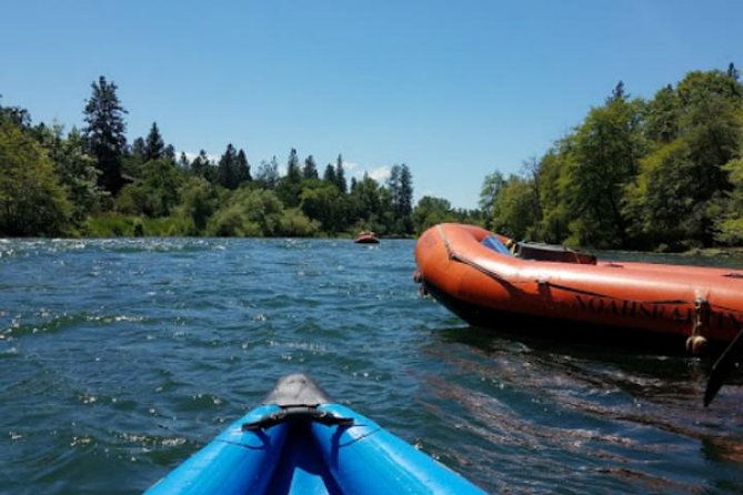 Rogue River Family Float & Discovery Park-Rafting and Kayaking - Why Rogue Discovery Park Feels Different Than a Normal Stop