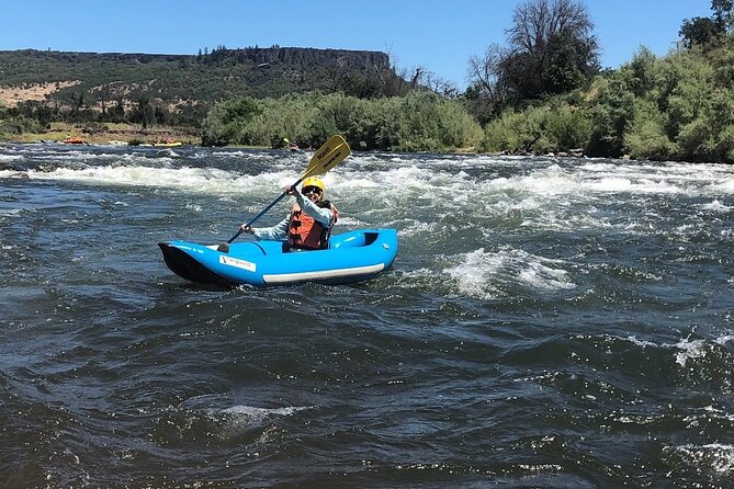 Rogue River Family Float & Discovery Park-Rafting and Kayaking - The On-Water Experience: Wildlife, Jokes, and a Calm Pace
