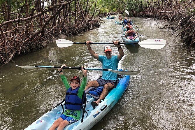 Rookery Bay Kayak Adventure – Mangroves, Wildlife & Photos - Entering the Rookery Bay Maze: What You’re Really Signing Up For