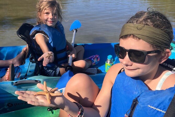 Rookery Bay Kayak Adventure – Mangroves, Wildlife & Photos - Dolphins, Manatees, Birds, and the 150-Species Factor