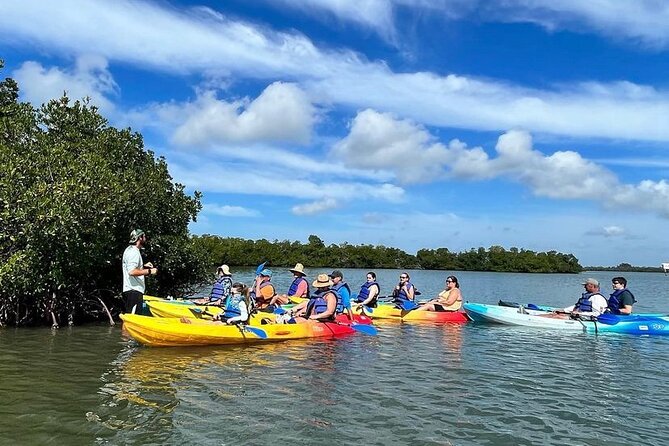Rookery Bay Kayak Adventure – Mangroves, Wildlife & Photos - What’s Included vs. What You Must Bring (No Concession at the Park)