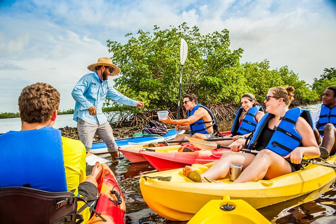 Rookery Bay Kayak Adventure – Mangroves, Wildlife & Photos - Group Size, Timing, and the 2-Hour Flow