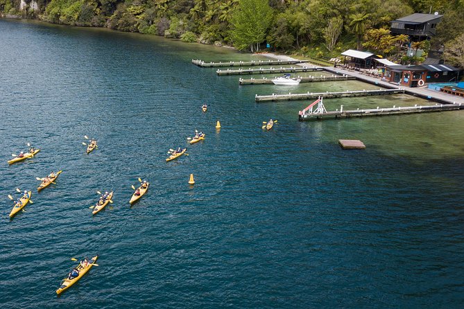 Rotorua: Daytime Scenic Lake Rotoiti Kayak Tour - Lake Rotoiti Day Paddle: what makes this tour feel special