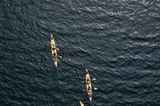 Rotorua: Daytime Scenic Lake Rotoiti Kayak Tour - Fitness Level and Who This Tour Suits Best