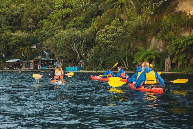 Rotorua: Daytime Scenic Lake Rotoiti Kayak Tour - Paddling Lake Rotoiti: birds, plants, and Māori stories in motion