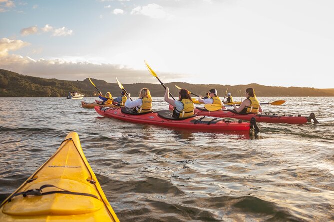 Rotorua: Evening Starlight Gourmet Kayak Tour Glowworms - Key Things to Know Before You Go