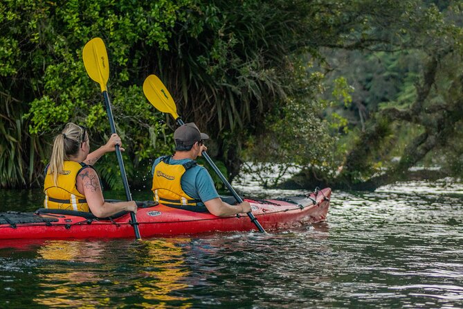 Rotorua: Evening Starlight Gourmet Kayak Tour Glowworms - Glowworm Cave Time: What the Light Show Feels Like