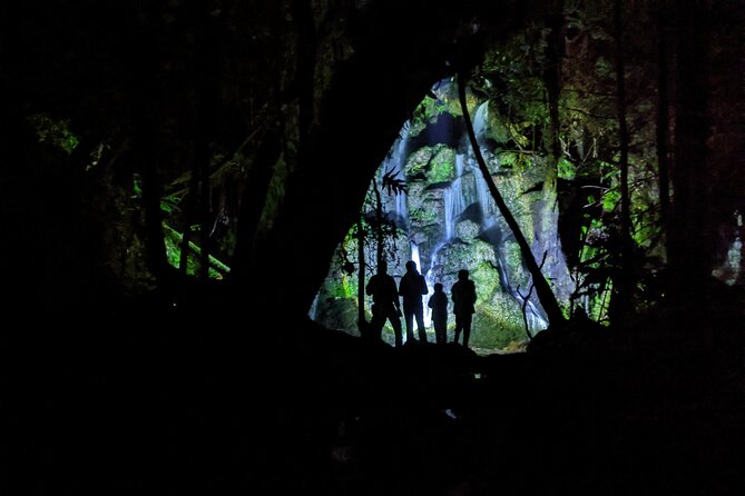 Rotorua: Evening Starlight Gourmet Kayak Tour Glowworms - Price and Value: Is $217.20 Worth It?