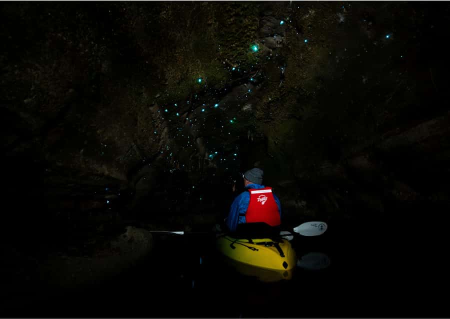 Rotorua: Glow Worm Kayak Tour - Who Should Choose This Glow-Worm Kayak Tour (and Who Might Not)