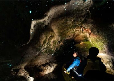 Rotorua: Glow Worm Kayak Tour - From Rotorua iSite to the Lake Shore: Transfers You Don’t Have to Worry About