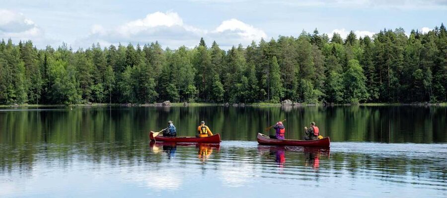 Rovaniemi: Guided Wilderness Kayaking Adventure - Boats, Lifejackets, and the Hot Drink: What’s Included vs. What to Confirm