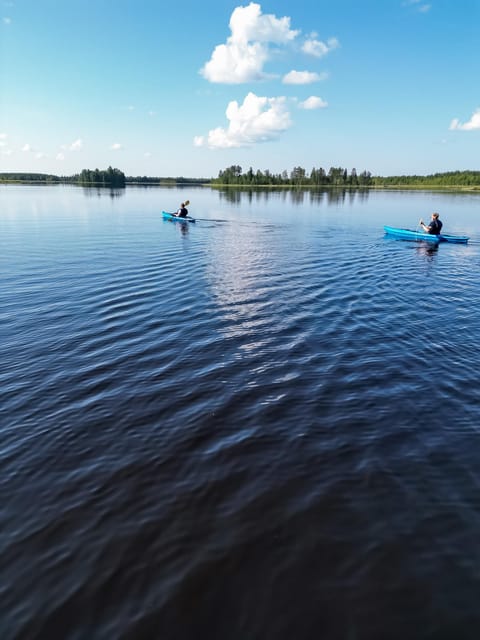 Rovaniemi: Guided Wilderness Kayaking Adventure - Price and Value: Is $117 for 3 Hours Worth It?