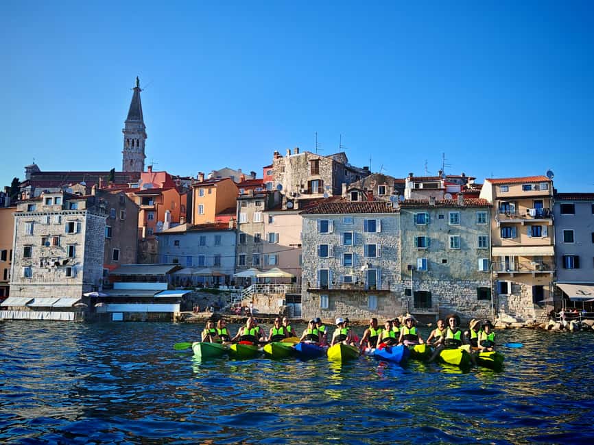 Rovinj-Amazing kayak tour &snorkeling &free drink &photos - Marine life spotting in clear water: dolphins and fish are the headline