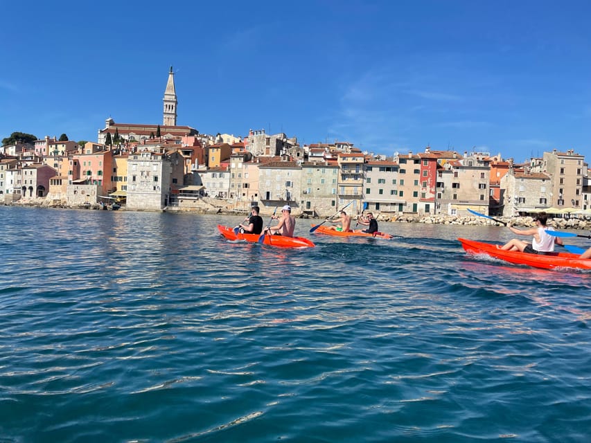 Rovinj: BUBA-KAYAK TOURS, snorkeling, cliff jupming&drinks - Cliff Jumping on the Island: 1 to 10 Meters