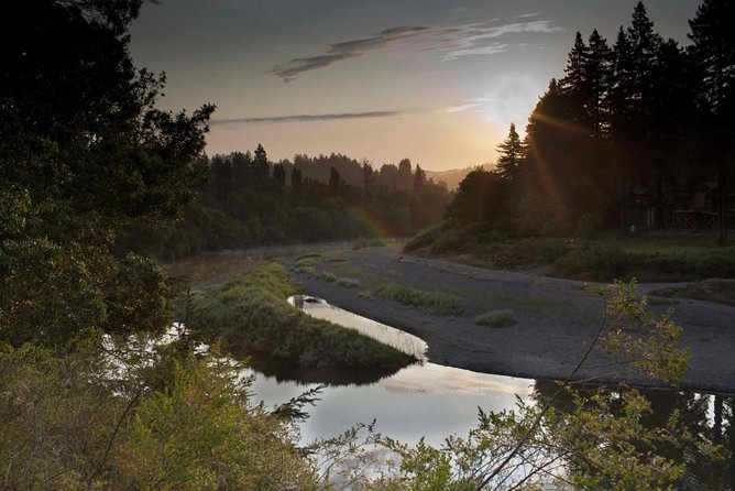 Russian River Kayak Tour at the Beautiful Sonoma Coast - Key Highlights You’ll Feel From the First Minute