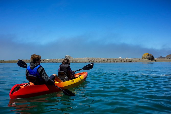 Russian River Kayak Tour at the Beautiful Sonoma Coast - Jenner to the Russian River Mouth: Why This Route Works