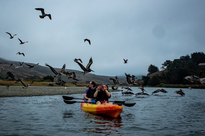 Russian River Kayak Tour at the Beautiful Sonoma Coast - Stop 2: Russian River Valley—History and Wildlife in the Same Breath