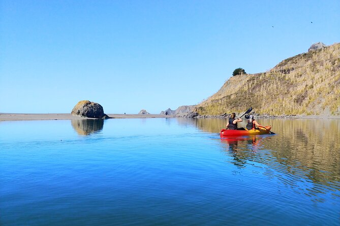 Russian River Kayak Tour at the Beautiful Sonoma Coast - Stop 3: The Russian River—Gentle Paddling With Great Viewing