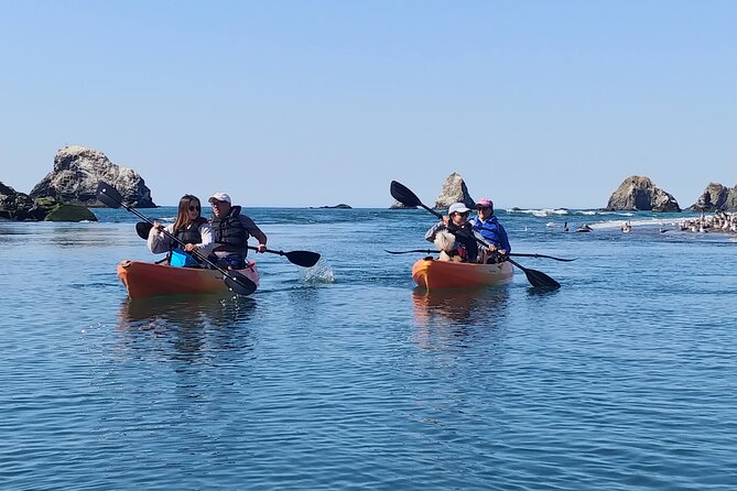 Russian River Kayak Tour at the Beautiful Sonoma Coast - Stop 4: Back Toward Sonoma County—Beach Time and a Satisfying Finish
