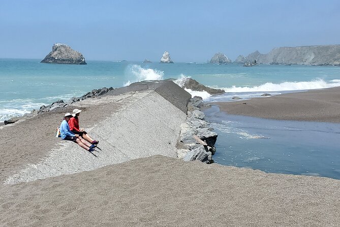 Russian River Kayak Tour at the Beautiful Sonoma Coast - Wildlife-Spotting Tips That Actually Help