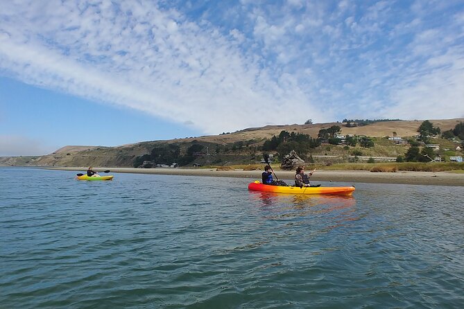 Russian River Kayak Tour at the Beautiful Sonoma Coast - Paddling Level, Timing, and How the Group Stays Together