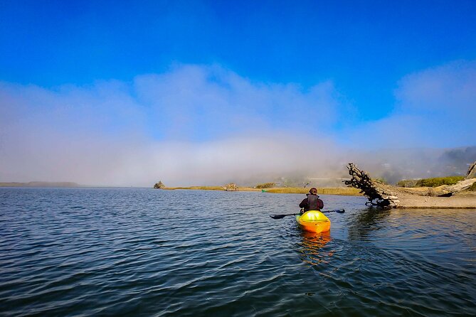 Russian River Kayak Tour at the Beautiful Sonoma Coast - Before You Paddle: Safety Talk, Fit, and Getting Ready Fast
