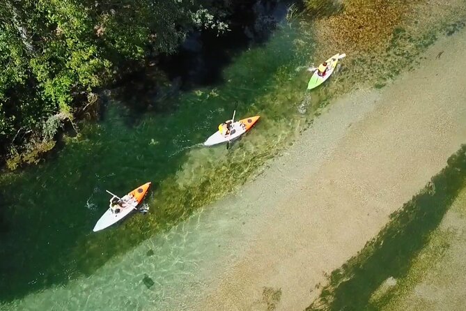 Safari kayak adventure w BBQ & Beer - Key highlights you’ll feel right away