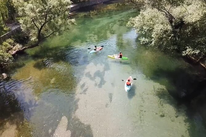 Safari kayak adventure w BBQ & Beer - Cold River Treehouse camp and the BBQ lunch on the sandy beach